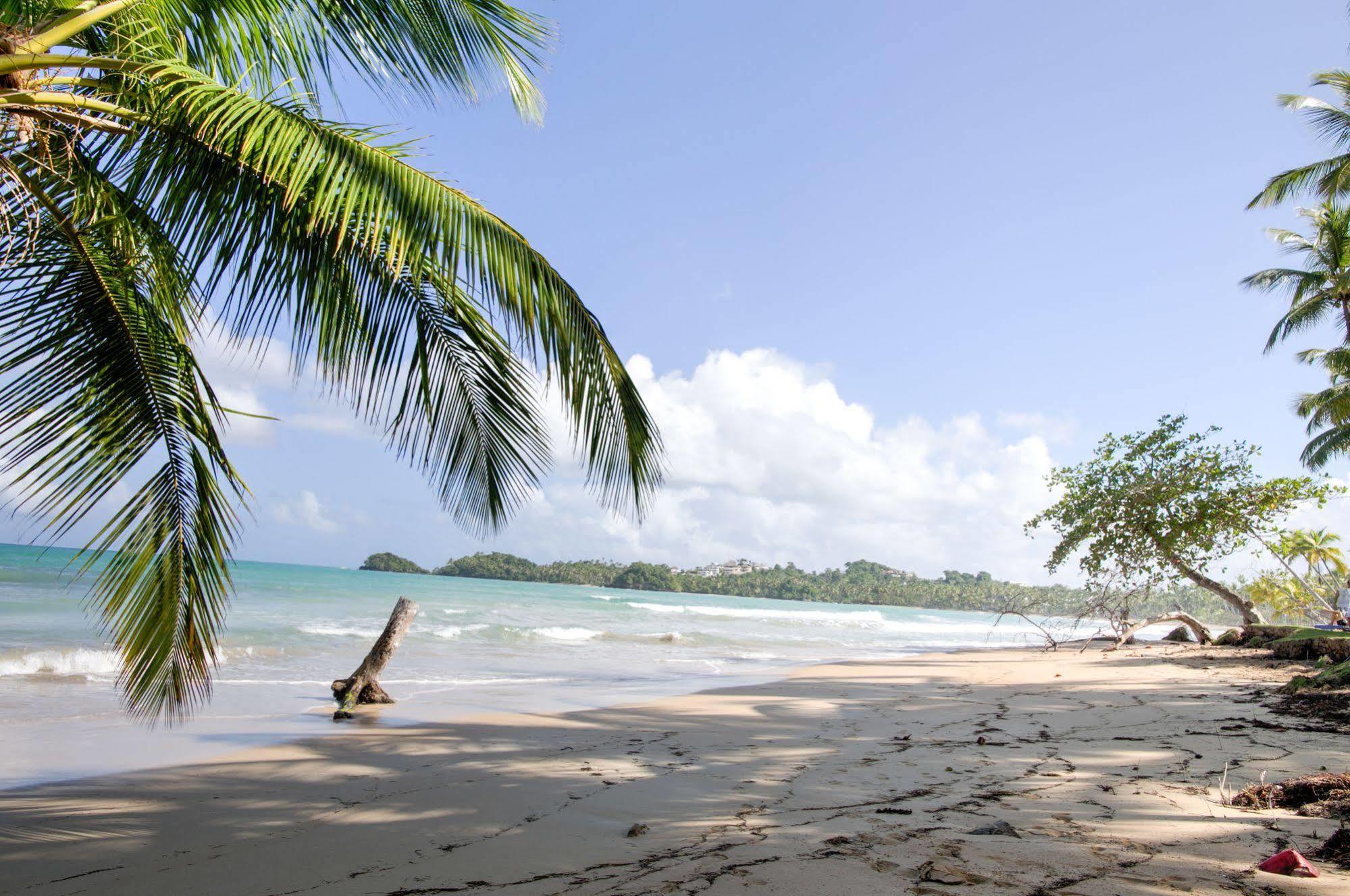 Hotel Punta Bonita Las Terrenas Extérieur photo